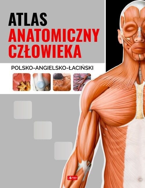 Atlas anatomiczny człowieka