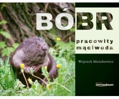 Beaver - Făcător de probleme harnic (248786)