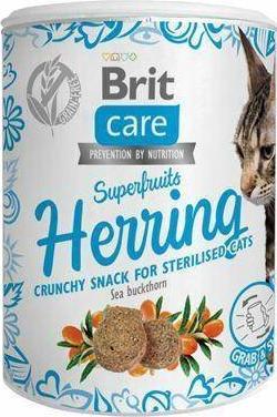 BRITCARE SUPERFRUITS Przysmak Kot STERILISED 100g