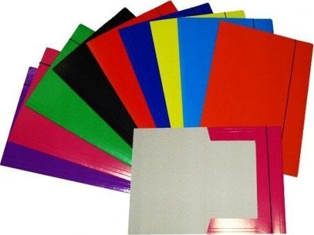 Folder BTS cu elastic A4 pentru documente