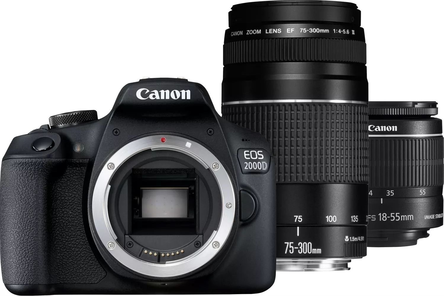 Aparate foto D-SLR - Canon EOS 2000D EF/EF-S 18-55mm F/3.5-5.6 II IS SLR