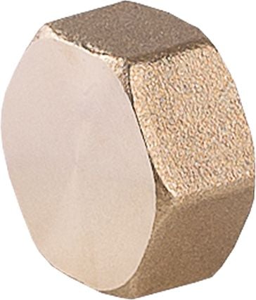 Capac alama GW 1/2 „(07-202-0150-000)