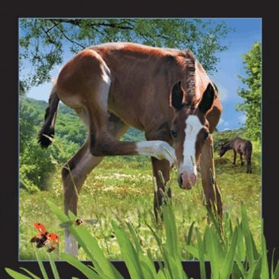 Carte poștală 3D Worth Keeping Foal