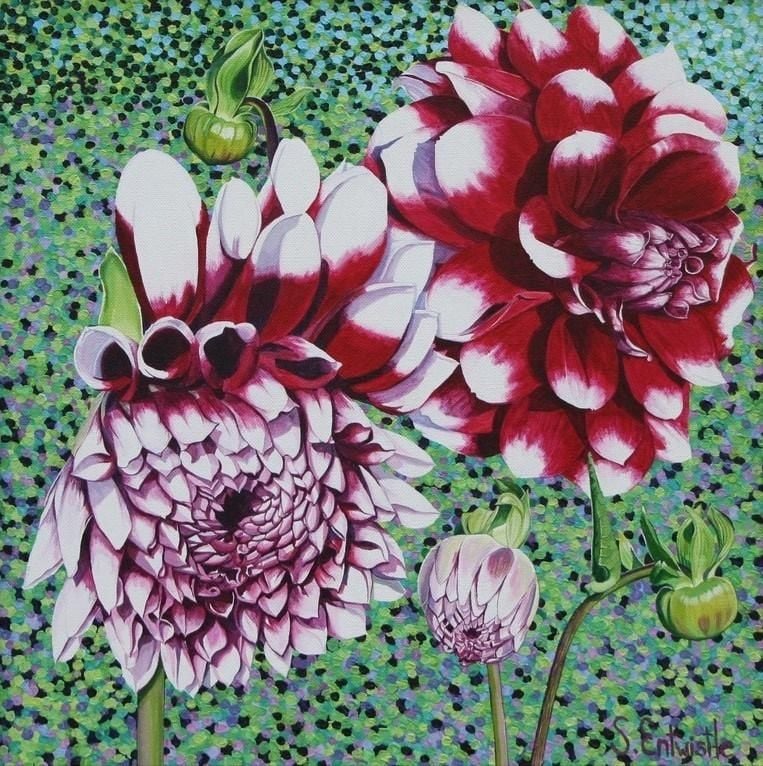 Cartelă Susan Entwistle cu plic Garden Dahlia