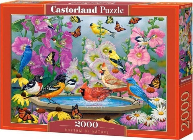 Puzzle 2000 piese Rhythm of Nature 200818 Castorland