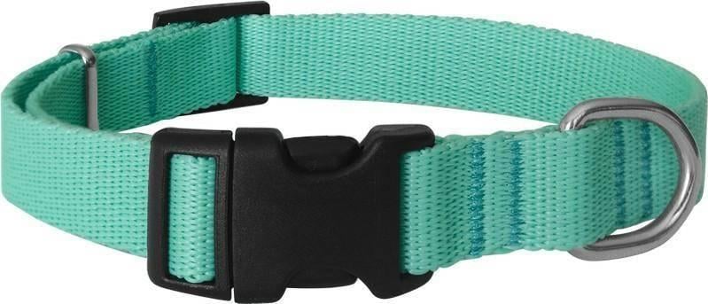 Chaba CH COLLAR TAPE REG.10 MINT 4693