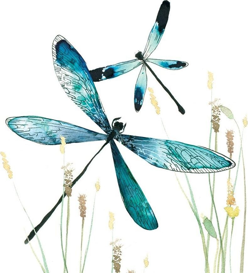 Clear Creation Card Swarovski pătrat CL1232 Dragonflies