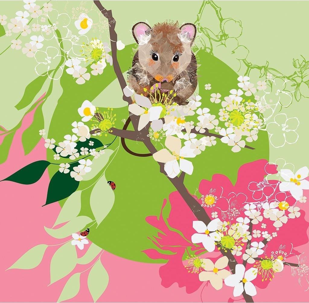 Clear Creation Card Swarovski CL0714 - Mouse (308024)