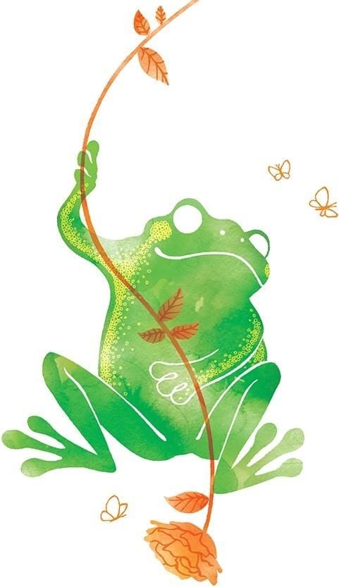 Clear Creation Card Swarovski Square Frog (CL2606)