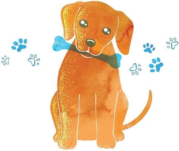 Clear Creation Card Swarovski Square Dog cu os (CL2616)