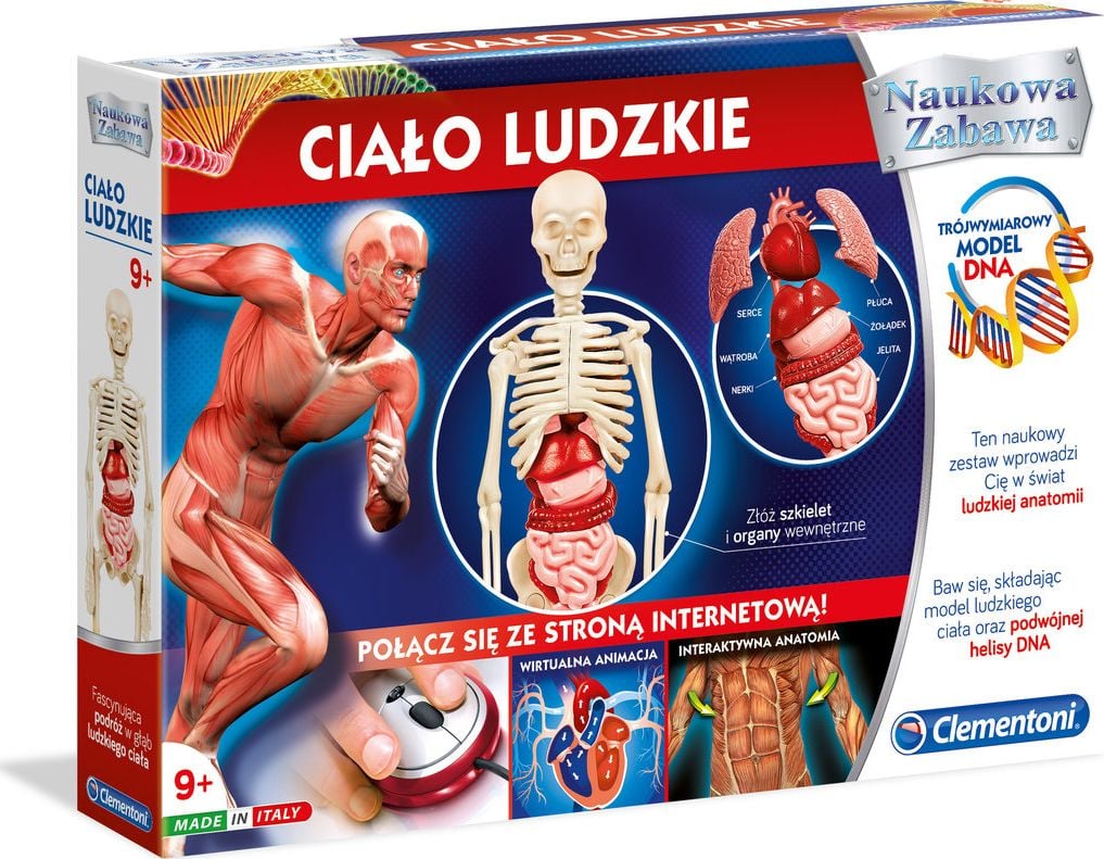 Clementoni Ciało Ludzkie