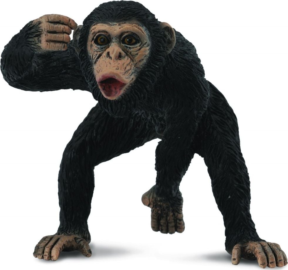 Colecta 88492 cimpanzeu mascul - 004-88492