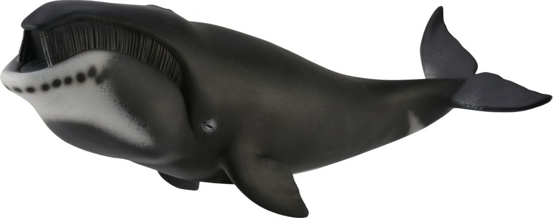 Colectați figurina Balena Groenlanda (004-88652)