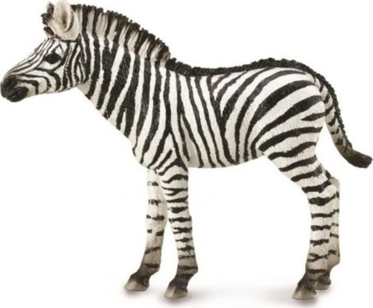 Colectați figurina ZEBRA mânz