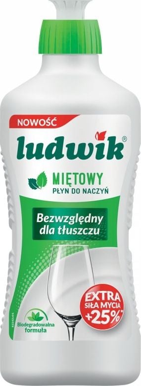 Detergent vase, Ludwik, Menta, 450g