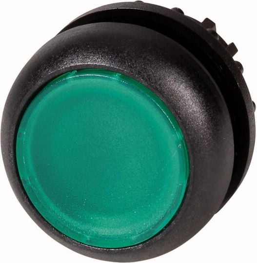 Conduceți buton verde cu iluminare arc-M22S-DL-G (216928)