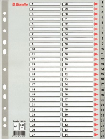 Etichete autoadezive - Index A4 Esselte, cu 54 Separatoare, Plastic, Gri
