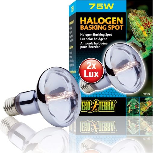 Exoterra BULB HALOGEN SPOT 75W