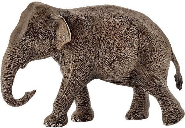 Figurină Schleich elefant asiatic (14753)