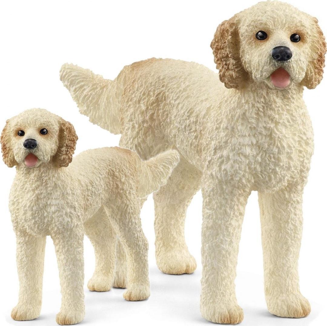 Figurină Schleich Goldendoodle