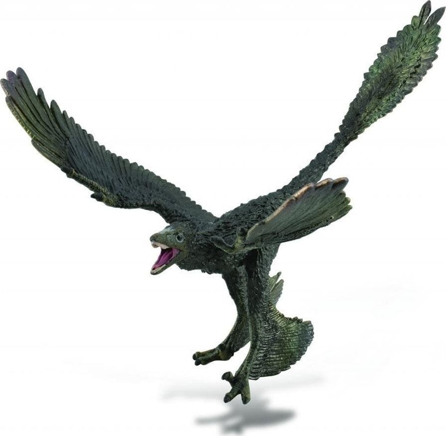 Colecta figurina Dinozaur Microraptor