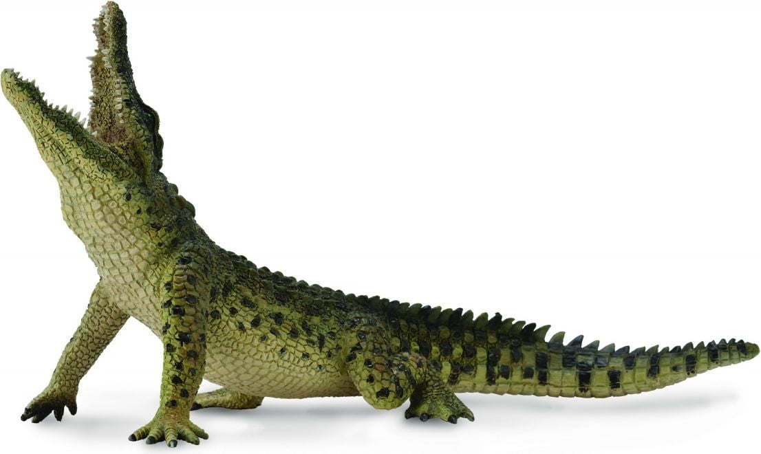 crocodil de Nil (004-88725)