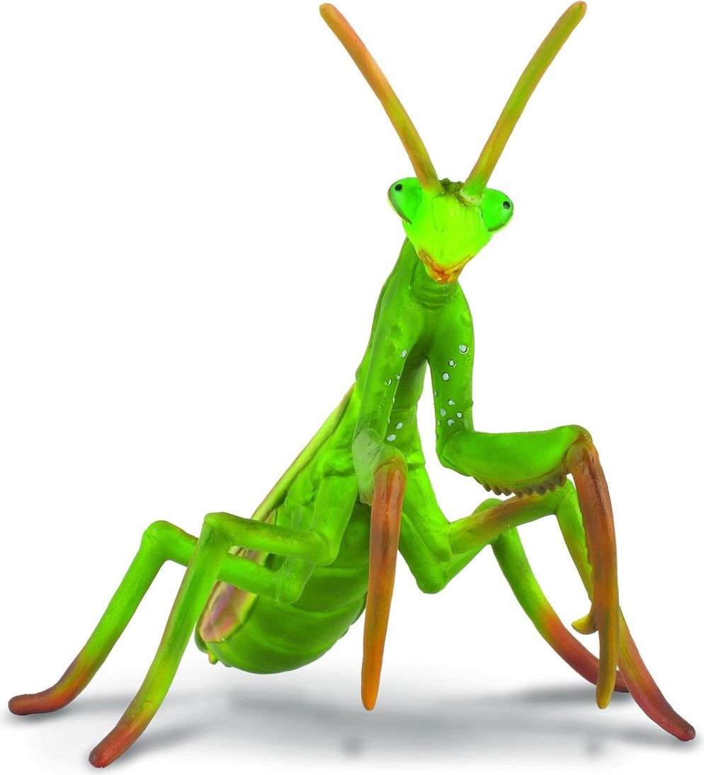 Colectați figurina Mantis (004-88351)