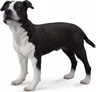 Figurină Collecta DOG AMERICAN STAFFORDSHIRE TERRIER