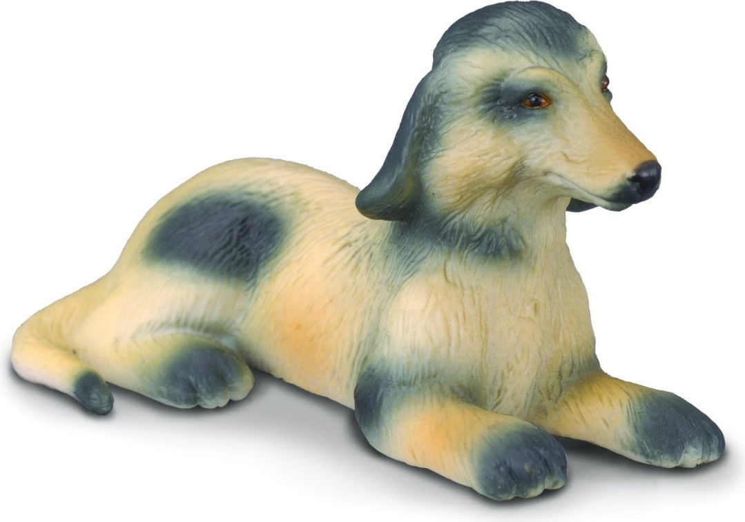Afgan Greyhound Puppy (004-88174)