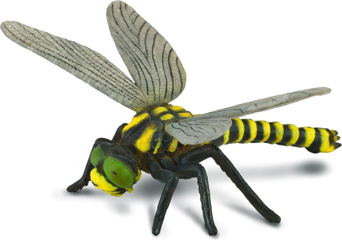 Dragonfly Collect Figure (004-88350)