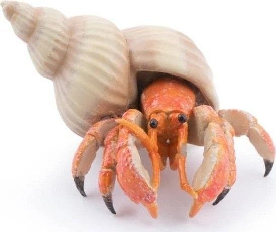 Figurica Papo Crab eremit Traducerea din poloneză în română a expresiei Figurka Papo Krab pustelnik este Figurica Papo Crab eremit.