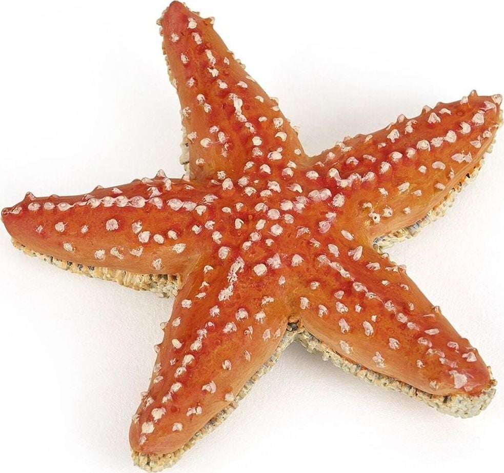 Figurină Papo Starfish