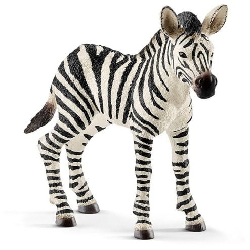 Figurină Schleich Zebra Mânz (GXP-622493)