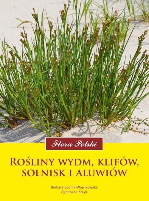 Flora Poloniei. Plante de dune, stânci, saline - 155582