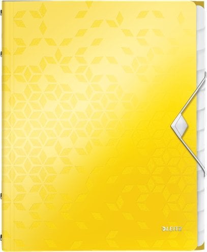 Folder Leitz PP cu bandă elastică Leitz Wow A4 12 separatoare