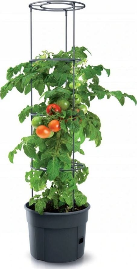 Ghiveci Prosperplast pentru tomate Tomato Grower IPOM400