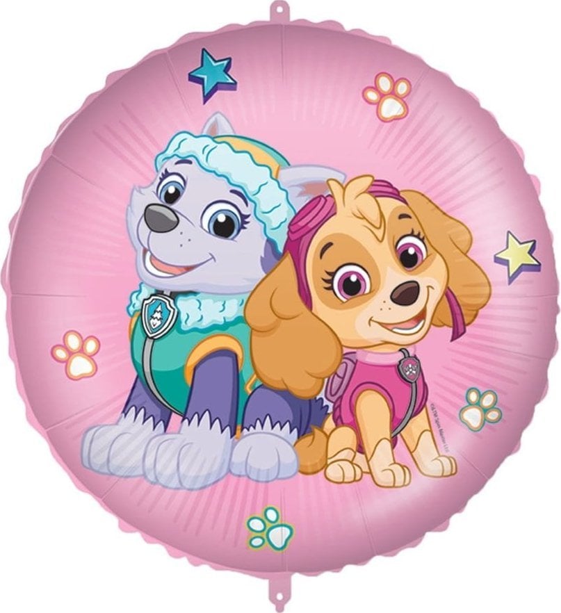 Balon din folie GoDan Paw Patrol Skye And Everest 46cm