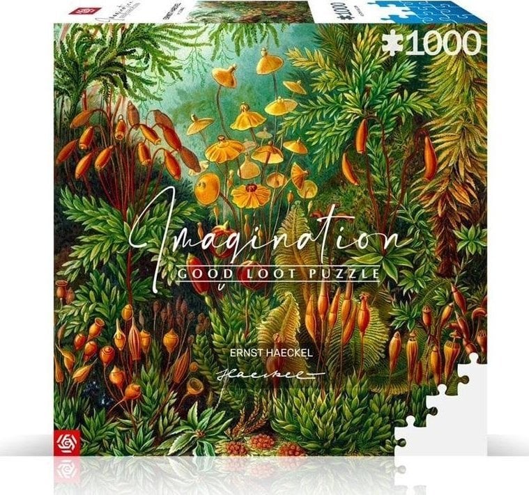 Bună pradă Puzzle 1000 Ernst Haeckel Muscinae