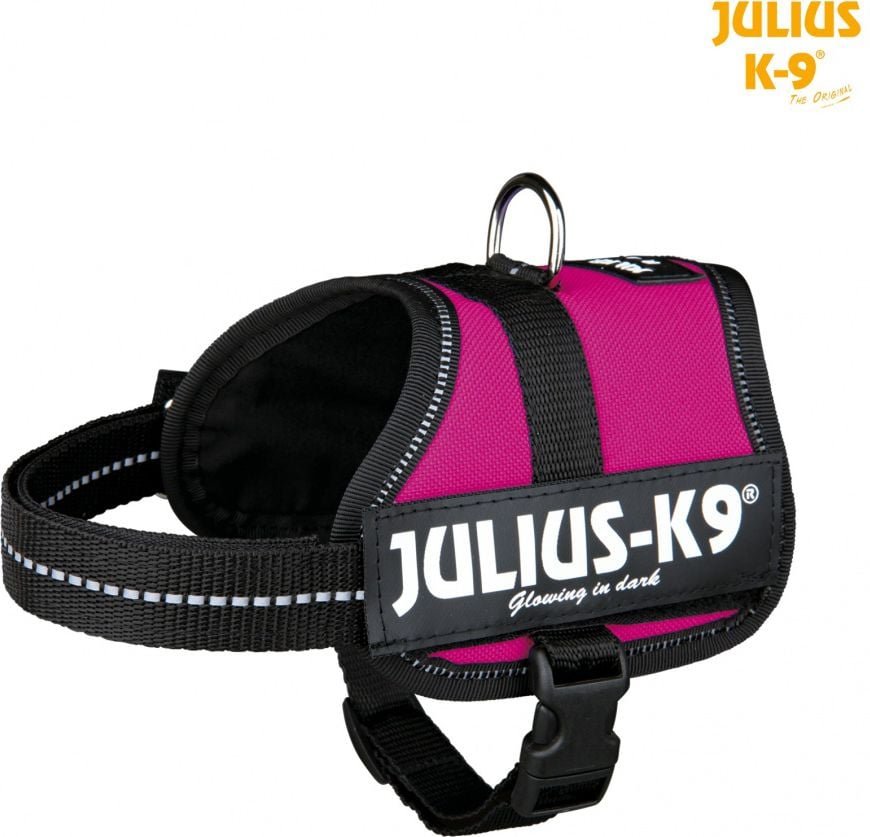 Ham Julius-K9 Mini-Mini/S;40-53cm/22 Mm Fucsia 15018