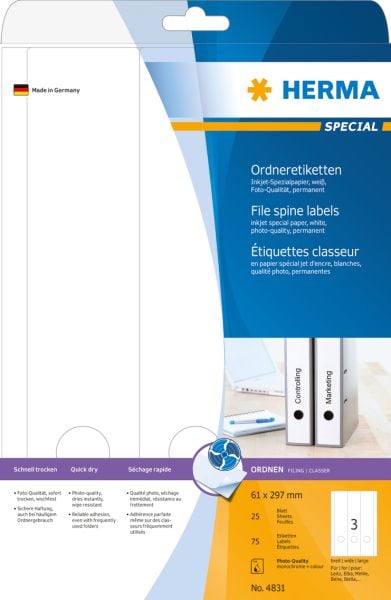 4831 etichete speciale, dosar, A4, alb, 61 x 297 mm, hartie mata, cu jet de cerneala, 75 buc., Colturi rotunjite (4831)