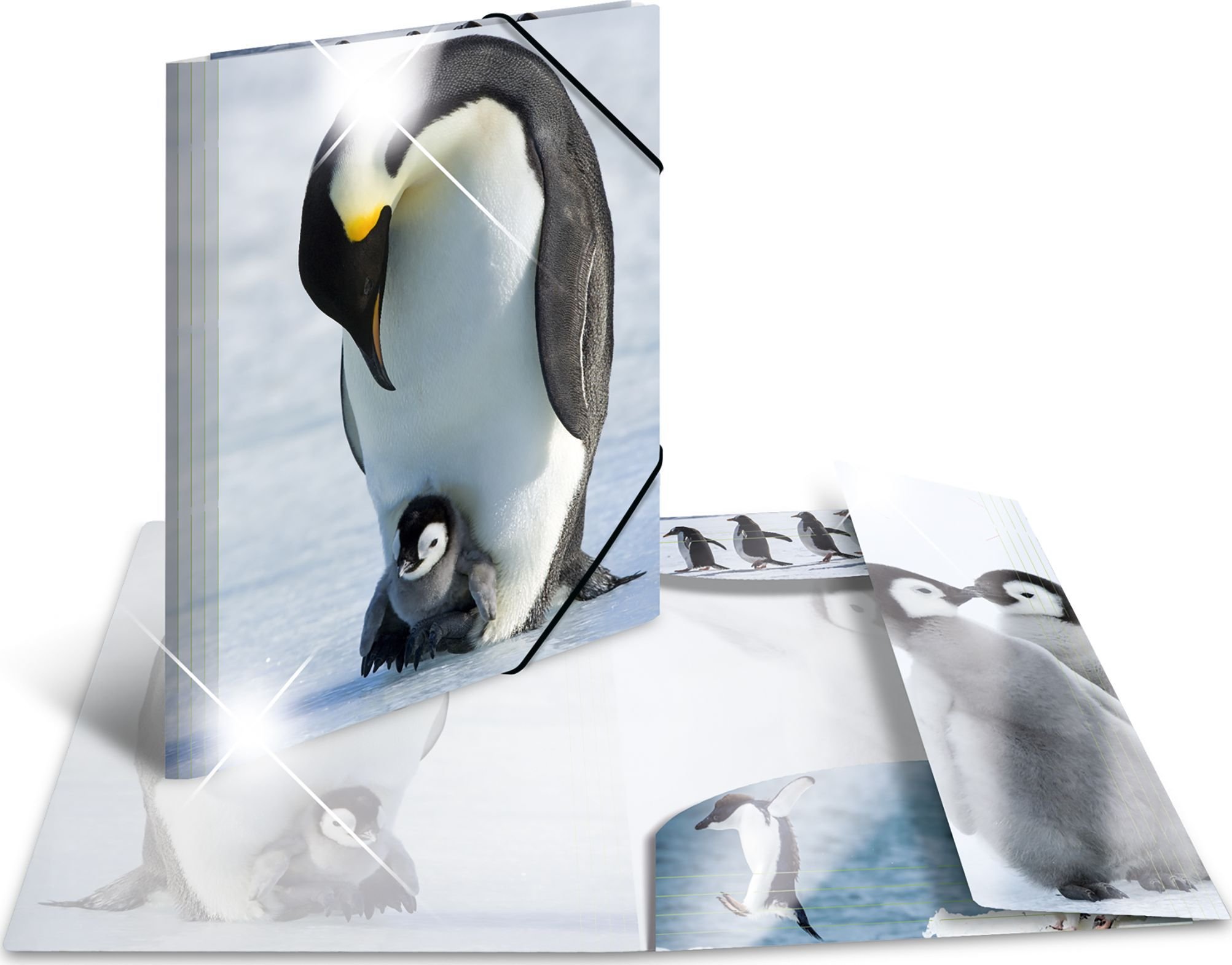 Herma Teczka A4 Glossy Pinguin