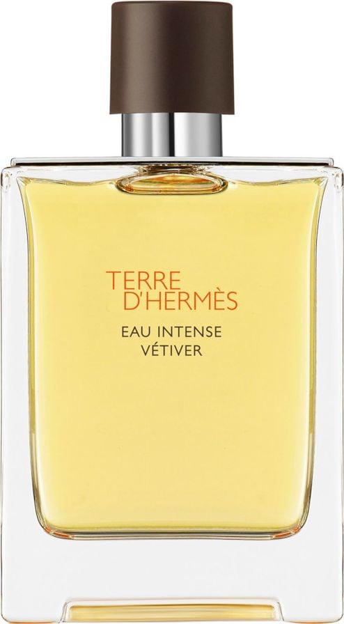 Hermes Terre d&apos;Hermes Apa Intense Vetiver EDP 100 ml