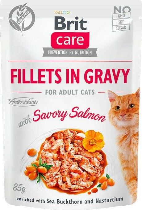 Hrana Umeda Pisici Brit Care Fillets in Gravy cu Somon, 85 g