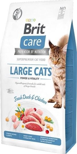 Hrana uscata pentru pisici de talie mare, BRIT Care Cat Grain-Free Large Cats, cu curcan 400 g