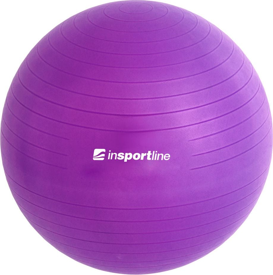 inSPORTline Gym Ball Top Minge 65 cm violet (3910-4)