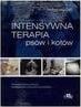 Intensywna terapia psów i kotów