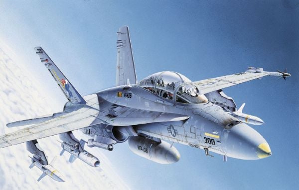 Italeri FA-18 CD Wild Weasel (016)