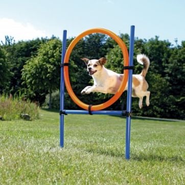 Jucarie Trixie Dog Activity Agility Ring, Plastic, 115×3 cm, 65 cm, Orange/Blue