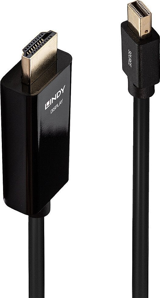 Lindy DisplayPort Mini - cablu HDMI 1m negru (36926)