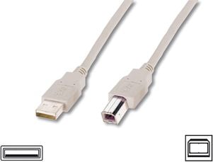 Kabel USB Digitus USB-A - USB-B 1.8 m Beżowy (AK-300105-018-E)
